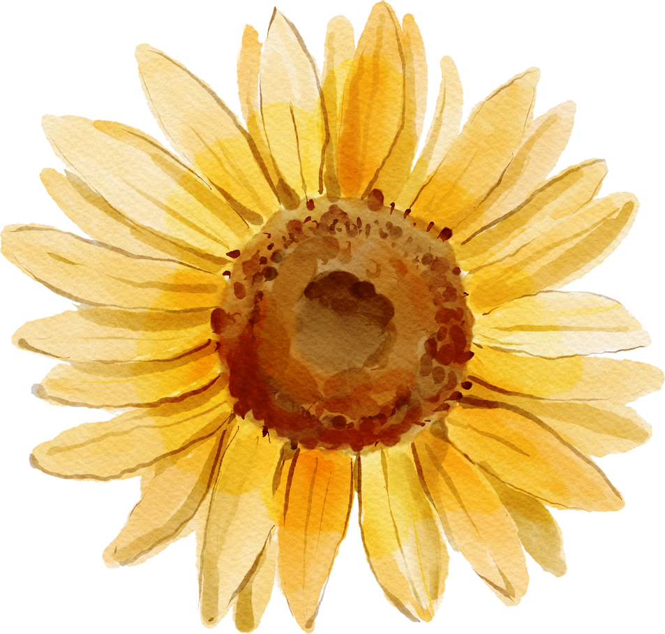 Watercolor Sunflower